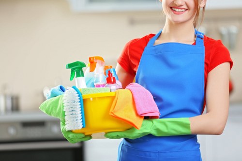 Professional domestic cleaning in a modern living room