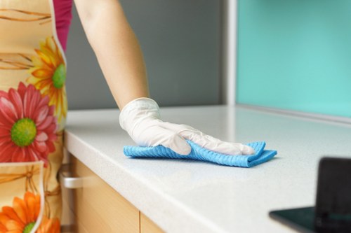 Oven and appliance cleaning for move-out inspection