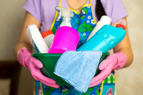 Regular cleaning routine in a bright living room