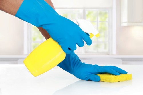 Professional regular cleaning in a commercial workspace