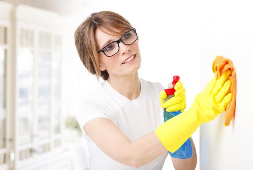 Living room sofa cleaning essentials and upholstery care