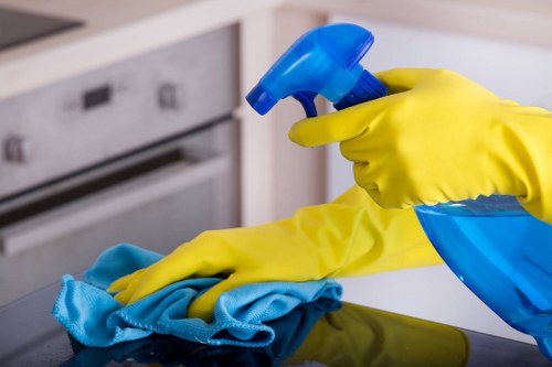 Eco-friendly domestic cleaning products and sustainable home care