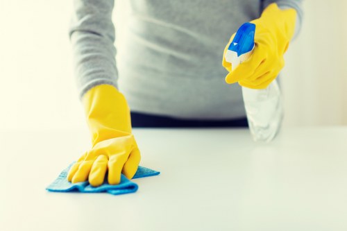 Professional move in cleaning in an empty living room
