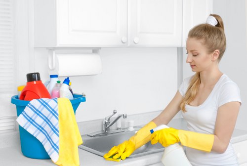Step-by-step upholstery cleaning process for sofas